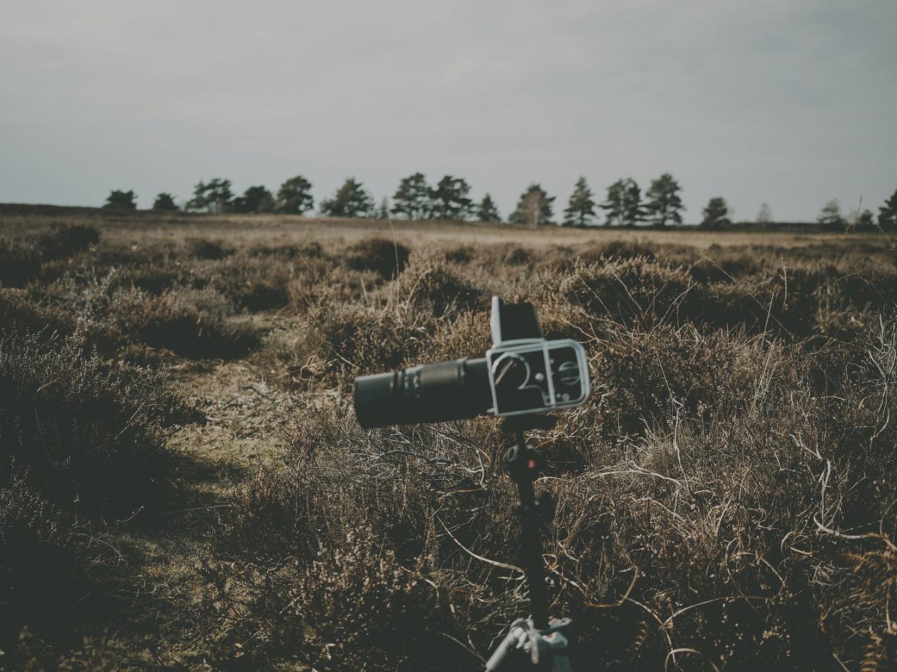 Setup domestico per color grading con illuminazione controllata e strumenti professionali